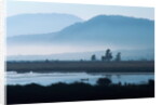 Fishing on Lake Patzcuaro by Anonymous