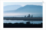 Fishing on Lake Patzcuaro by Anonymous