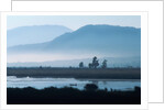 Fishing on Lake Patzcuaro by Anonymous