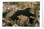 Aerial of Xochimilco Floating Gardens by Anonymous