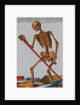 Tarot Card Depicting Death by Anonymous
