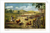 Painting of a Cattle Herder by Corbis