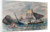 South Sea Whaling by Anonymous