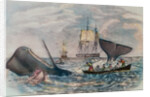 South Sea Whaling by Anonymous