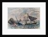 South Sea Whaling by Anonymous