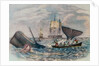 South Sea Whaling by Anonymous