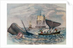 South Sea Whaling by Anonymous