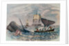 South Sea Whaling by Anonymous
