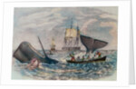South Sea Whaling by Anonymous