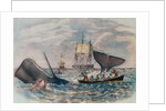 South Sea Whaling by Anonymous