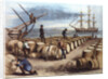 Color Print of Wharf Workers Measuring Whale Oil Content in Barrels by Anonymous