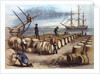 Color Print of Wharf Workers Measuring Whale Oil Content in Barrels by Anonymous