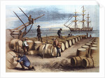 Color Print of Wharf Workers Measuring Whale Oil Content in Barrels by Anonymous