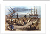Color Print of Wharf Workers Measuring Whale Oil Content in Barrels by Anonymous
