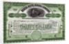 North Butte Mining Company Certficiate by Anonymous
