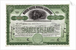 North Butte Mining Company Certficiate by Anonymous