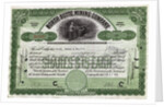 North Butte Mining Company Certficiate by Anonymous