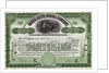 North Butte Mining Company Certficiate by Anonymous