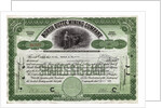 North Butte Mining Company Certficiate by Anonymous