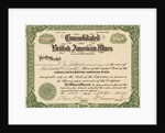 British American Mines Certificate by Anonymous