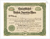 British American Mines Certificate by Anonymous