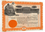 Chisna Consolidates Mines Company Certificate by Anonymous