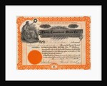 Chisna Consolidates Mines Company Certificate by Anonymous