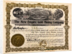 Stock Certificate for One Dollar by Anonymous