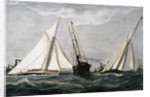The America's Cup Race Magazine Illustration by Julian Oliver Davidson