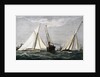 The America's Cup Race Magazine Illustration by Julian Oliver Davidson