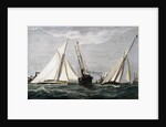 The America's Cup Race Magazine Illustration by Julian Oliver Davidson