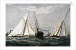 The America's Cup Race Magazine Illustration by Julian Oliver Davidson