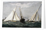 The America's Cup Race Magazine Illustration by Julian Oliver Davidson