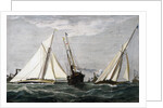 The America's Cup Race Magazine Illustration by Julian Oliver Davidson
