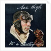 Aviator Smoking Chesterfield Cigarette by Anonymous