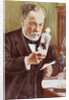 Detail of Louis Pasteur in His Laboratory by Albert Edelfelt