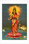 Portrait of Laskshmi by Anonymous