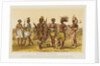 Ethiopian Race Illustration by Anonymous