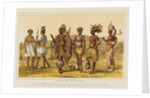 Ethiopian Race Illustration by Anonymous