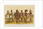 Ethiopian Race Illustration by Anonymous