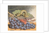 Cartoon Propaganda on Communism Effects on Capitalism by Anonymous