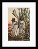 Portrait of Papago Indians by Anonymous