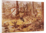 Soldiers Being Attacked at Disarrayed Encampment by Anonymous