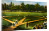 Illustration of Baseball Game by Anonymous