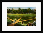 Illustration of Baseball Game by Anonymous