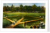 Illustration of Baseball Game by Anonymous
