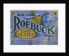 Advertisement for Roebuck Photographic Dry Plates by Anonymous