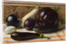 Still life of Eggplant by Anonymous