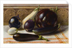 Still life of Eggplant by Anonymous
