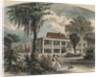 Couple Strolling with Dog by Anonymous